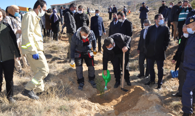 Ermenek'te Fidan Dikimi Yapıldı
