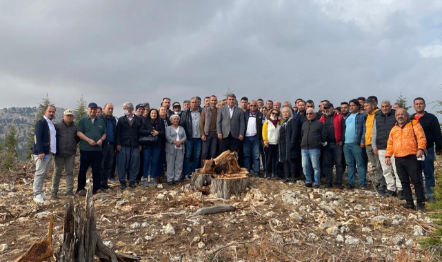 Karaman’daki Biyokütle Enerji Santrali için Erdemli’deki Ağaç Kesimlerine tepki büyüyor