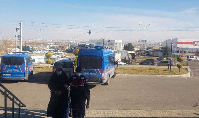 Aranan şahıslar jandarmaya yakalandı