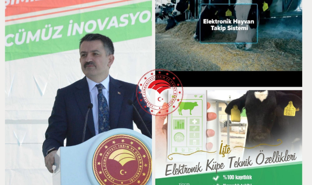Bakanlık, Karaman’a Ücretsiz Elektronik Küpe Gönderecek