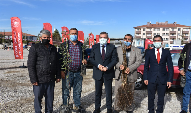 Çiftçilere Ceviz, Zeytin ve Badem Fidanı Dağıtıldı