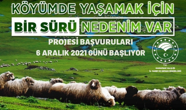 Küçükbaş Hayvancılığa Büyük Destek