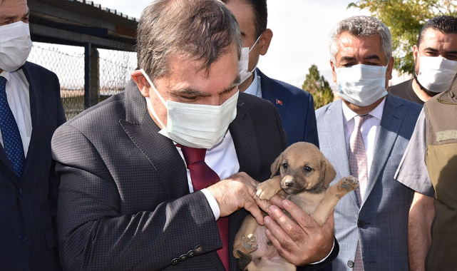 Vali Işık: Köpek cinayeti, insan cinayetine eş duyarlılıkla araştırılıyor