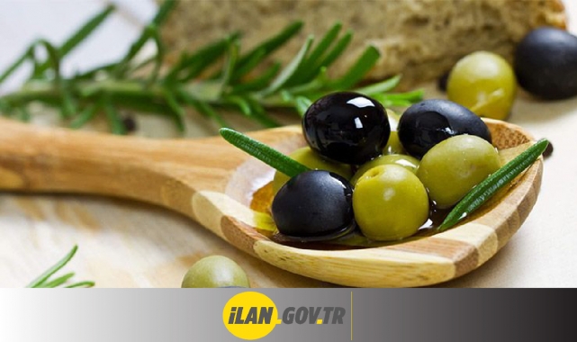 Zeytin Alımı Yapılacak