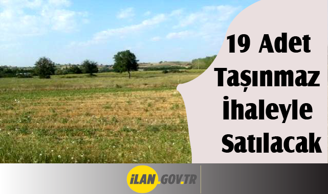 19 Adet Taşınmaz İhaleyle Satılacak.