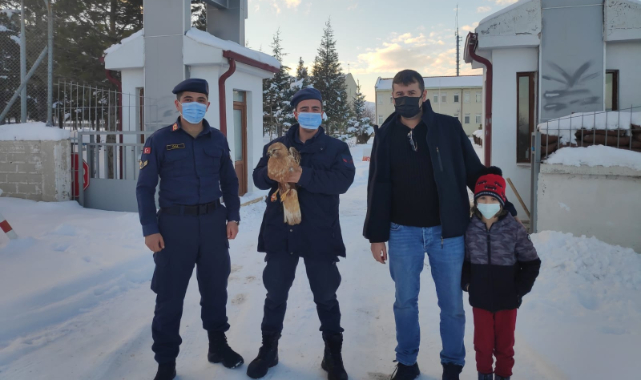 Karaman'da Duyarlı Vatandaş Yaralı Kızıl Şahin'e Sahip Çıktı