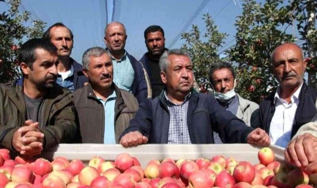 Karaman'da elma ihracatı 7 kat arttı