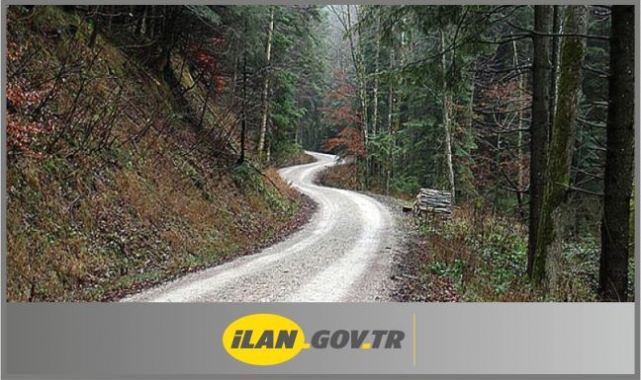 Orman Yolu Yaptırılacak