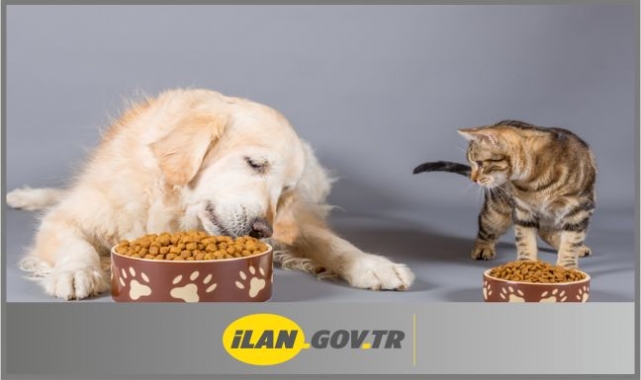 Kedi ve Köpek Maması Alınacak