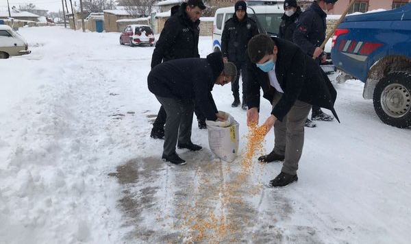 Sokak Hayvanları Unutulmadı
