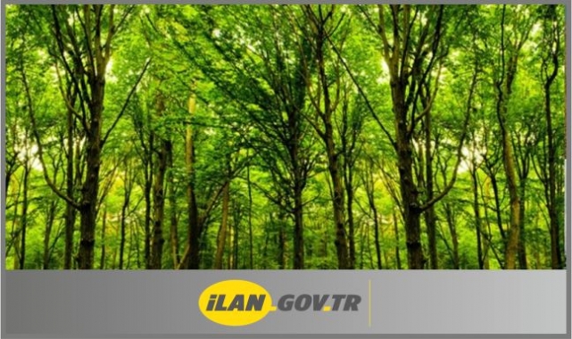 Danışmanlık Hizmeti Alınacak