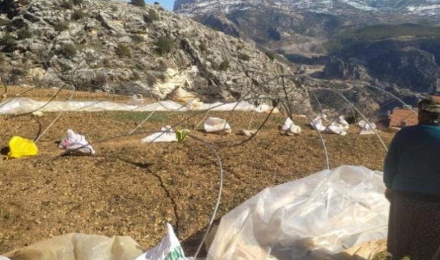 Fırtınada seralar zarar gördü