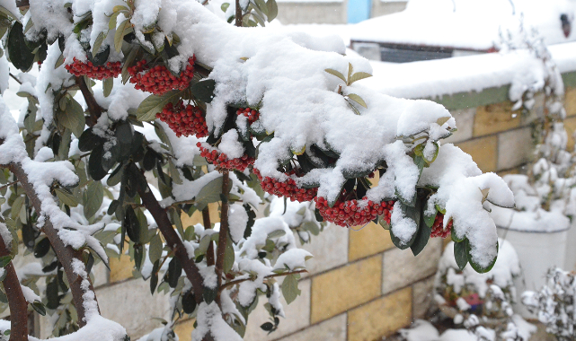 Meteorolojiden Karaman'a yağış uyarısı