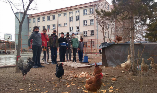 Öğrenciler Geri Dönüşüm İle Organik Yumurta Üretiyorlar