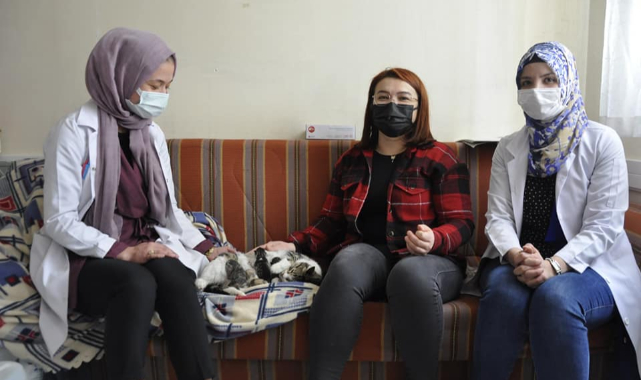 Doğum sancısı çeken kedi aile sağlığı merkezine geldi doğum yaptı