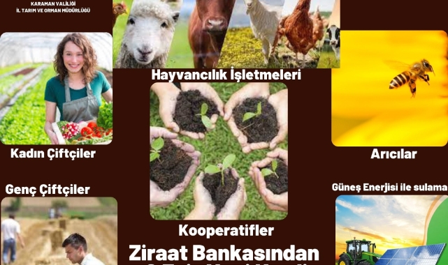 Girişimci gençlere faizsiz kredi