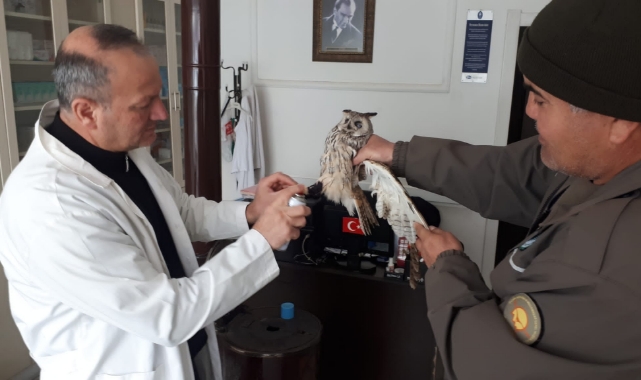 Yaralı Kuşlar Tedavi Edilip Doğaya Bırakıldı