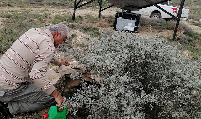 Ekolojik Su Pınarlarının Tadilat Ve Bakım Çalışmaları Tamamlandı