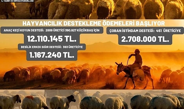 Hayvancılık destekleme ödemeleri başlıyor
