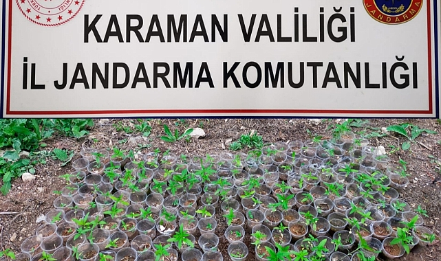 Pet Bardaklarda Kenevir Yetiştiren Kişiler Gözaltına Alındı