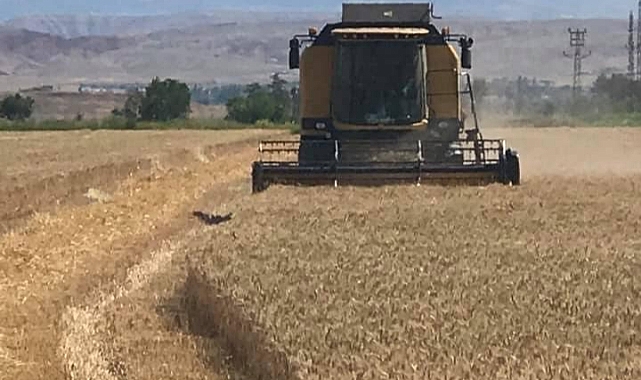 Karaman’da Biçerdöver Hububat Hasat Fiyatları Belli Oldu