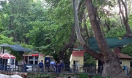 Zeyve'de Gergin Bekleyiş Sona Erdi