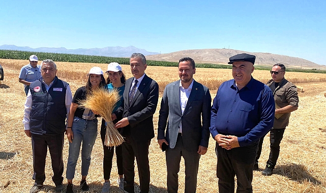 Karaman'da buğday hasadı etkinliği düzenlendi