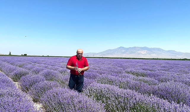 Karaman lavantanın merkezi olacak