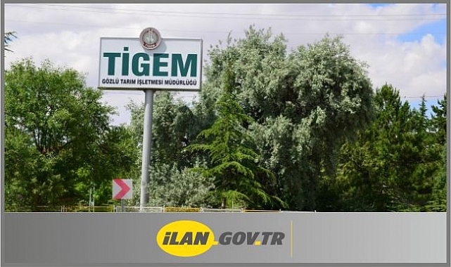 Yem Hammaddesi Satın Alınacak
