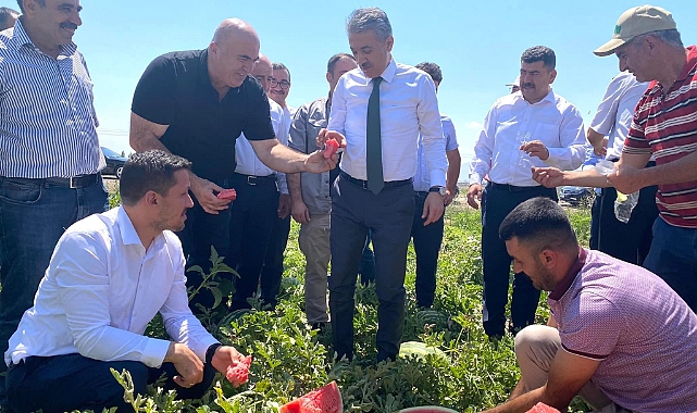 Karaman’da Paşa Karpuzu Hasadı başladı