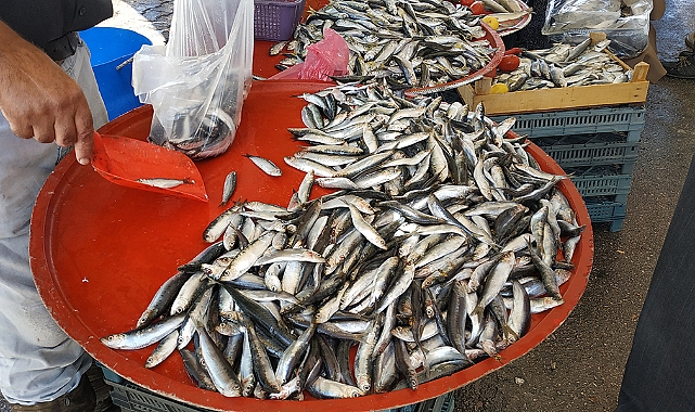 Balıklar, Tezgahlardaki Yerlerini Aldı