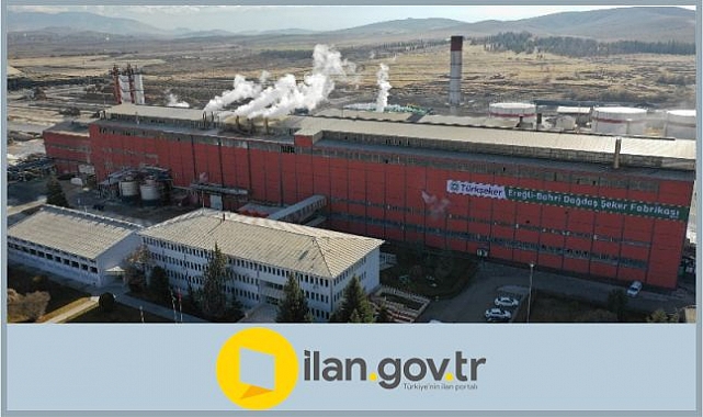15 Bin Ton Pancar Kuyruğu İhaleyle Satılacak