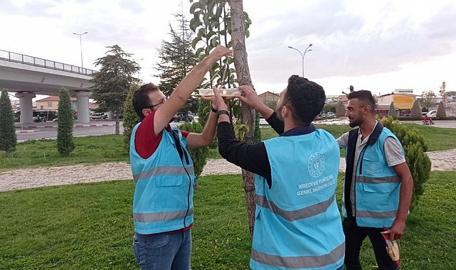 GSB Karaman Yurdu Öğrencileri Hayvan Sevgisine Dikkat Çektiler