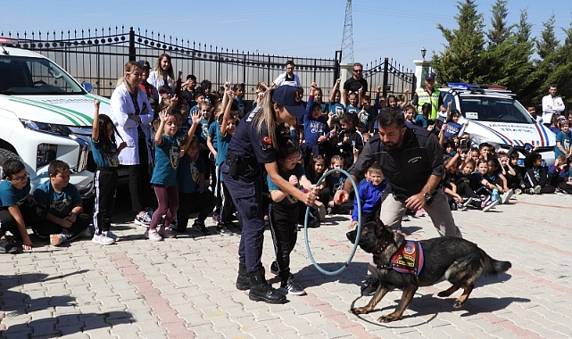 Jandarma'dan Hayvanları Koruma Gününde Anlamlı Etkinlik