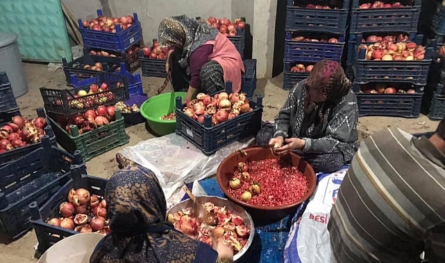 Karaman'da Nar Ekşisi Mesaisi Başladı