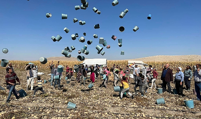 Kovaları Havaya Fırlatarak Hasadı Tamamladılar