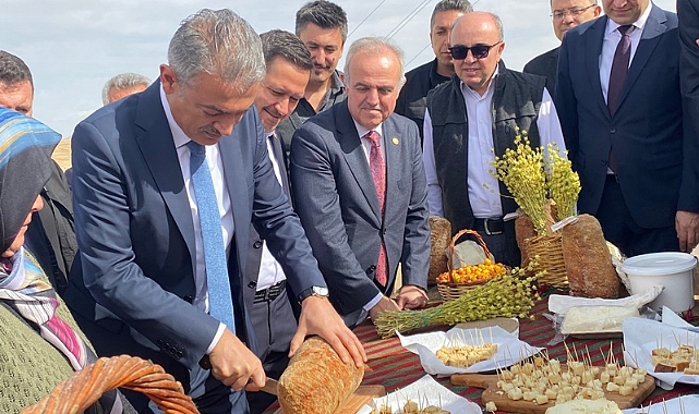 Türk Rokforu Divle Obruk Peyniri Mağaradan Gün Yüzüne Çıktı