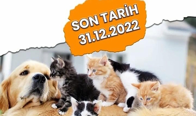 Evcil hayvanlarını kayıt altına aldırmayanlar için son tarih 31 Aralık