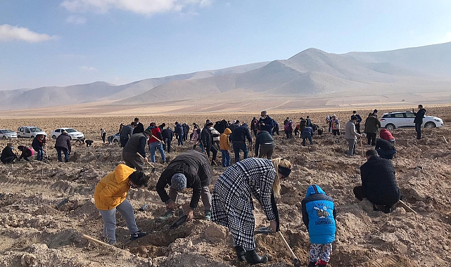 Karaman'da Binlerce Fidan Toprakla Buluşacak