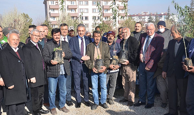 Karaman'da çiftçilere zeytin, hurma ve badem fidanı dağıtıldı