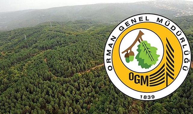Orman Genel Müdürlüğü Karaman Dahil 54 İlde Personel Alacak!