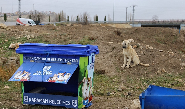 Sokak Canları İçin Daha Modern Besleme Noktaları Yapılıyor