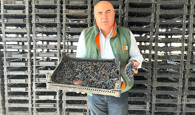 Vali Akkoyun devreye girdi. EYT’li üzüm üreticisinin evrak sorunu çözülüyor