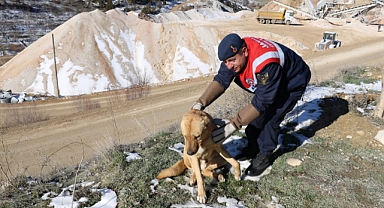 Yaralı Köpeğe HAYDİ Ekibinden Şefkat eli
