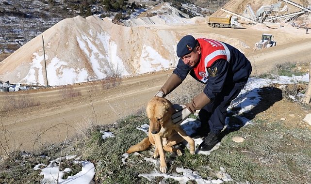 Yaralı Köpeğe HAYDİ Ekibinden Şefkat eli