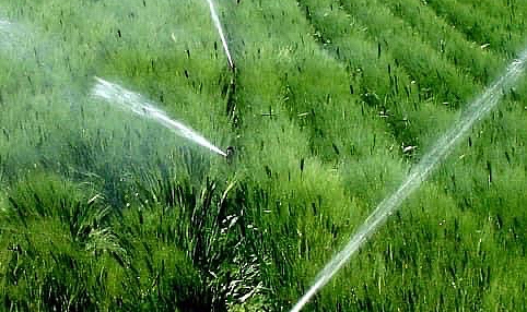 Su kuyuları 23 Ocak’ta çiftçinin kullanımına açılıyor