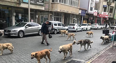 Başkan Zorlu: Takipçisi Olacağız