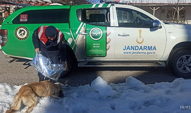 Jandarma, zorlu kış şartlarında sokak hayvanlarını unutmadı