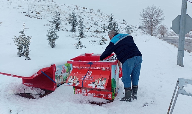 Karaman’da sokak hayvanlarına yem bırakıldı