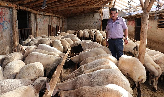 Karaman Damızlık Koyun Keçi Yetiştiricileri Birliği'nden anlamlı kampanya